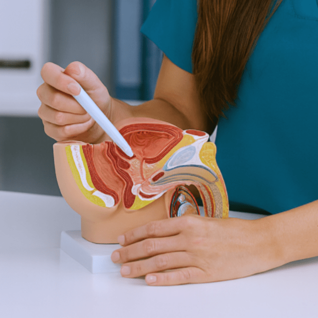 Wonder Fisioterapia - Servicio fisioterapia en cáncer de próstata Wonder Fisioterapia - Servicio fisioterapia en cáncer de próstata